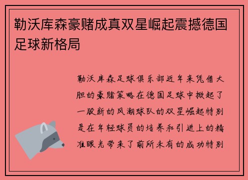 勒沃库森豪赌成真双星崛起震撼德国足球新格局