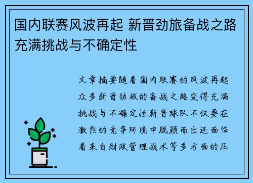 国内联赛风波再起 新晋劲旅备战之路充满挑战与不确定性