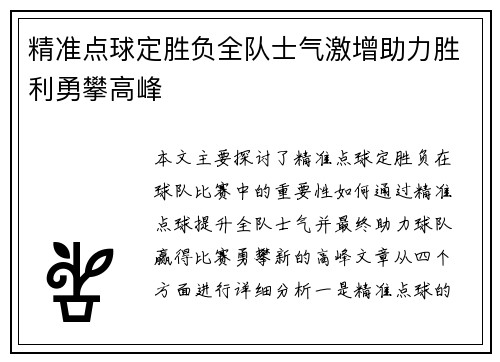精准点球定胜负全队士气激增助力胜利勇攀高峰